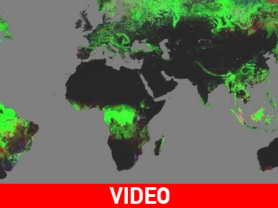 «Ο πλανήτης έχασε 2,3 εκατ. τετραγωνικά χιλιόμετρα δασών»